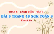 Bài 6 trang 48 SGK Toán 8 tập 1 Cánh Diều